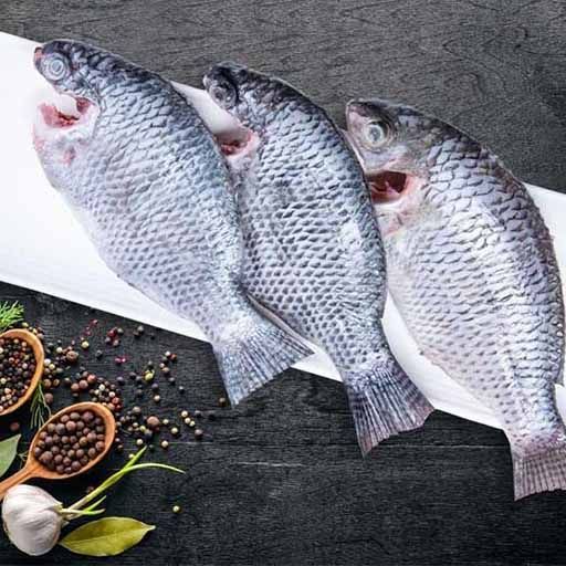 Tilapia Whole