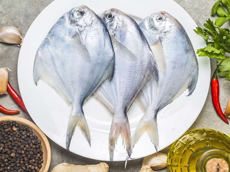 Pomfret (Medium)