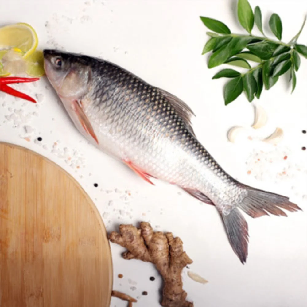 Rohu Fish Whole